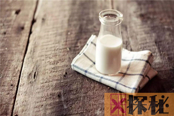 牛奶当水喝2年的危害 可能会堆积再胃里让人变胖