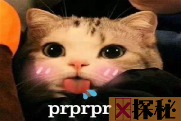 prprprp什么意思 prprprp在网络上相当常用（网络热词）
