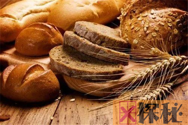 全麦面包为什么不长胖 吃全麦面包有哪些好处