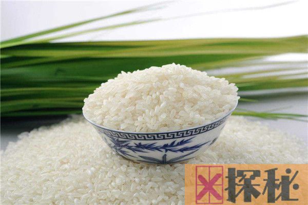 大米不能和什么一起吃 大米为什么不能和这些一起吃