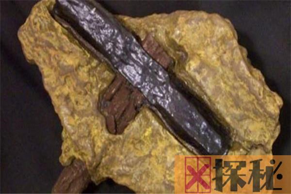 四亿年前的铁锤真相 四亿年前真的有铁锤存在吗