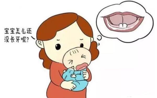 宝宝几个月长牙，4-7个月长第一颗牙（3岁左右牙长齐）