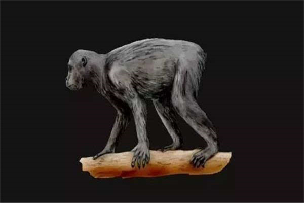 世界上最早的原始人是什么 腊玛古猿（生活在几百万年前）