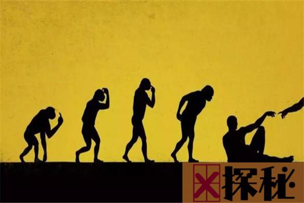 人类进化的六个阶段图 六个阶段表现六个不同进化