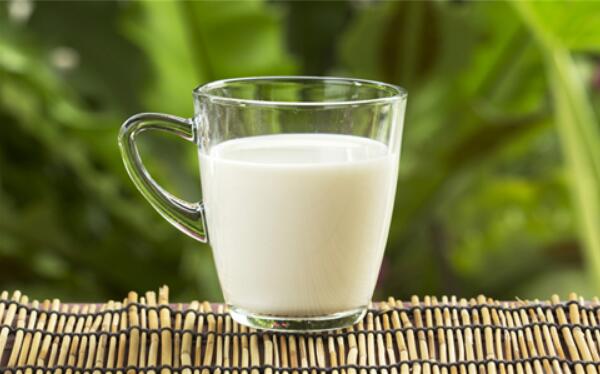 牛奶的好处有哪些 牛奶不能和什么一起吃（韭菜和药物）