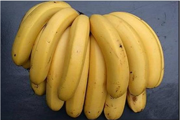 世界上最喜欢吃香蕉的人是谁 一星期一百多根（纳什）