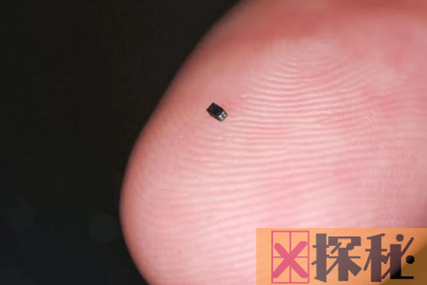 世界上最小的照相机:长度不足1.2毫米(仅一颗沙砾大小)