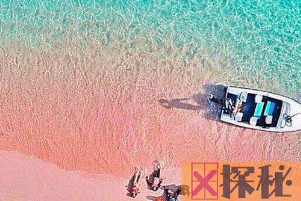 世界上最美的海滩:第六是罕见粉红海滩 第四能见40米深
