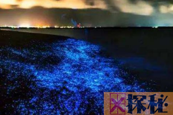 世界上最壮观的14个自然风景:火山喷泥浆 海水泛荧光