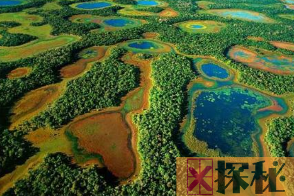 世界上最大的湿地:面积24万平方公里(比广东还要大)