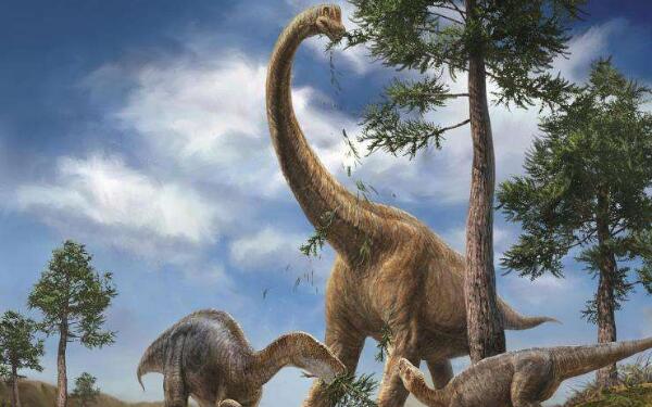 世界十大恐龙之最，易碎双腔龙长达80米（沧龙是水中霸主）