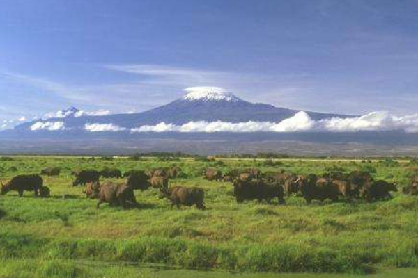 世界上最大的高原:是青藏高原的2倍(达500万平方公里)