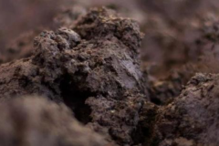 世界上最贵的泥巴:已窖藏637年之久(堪称无价之宝)
