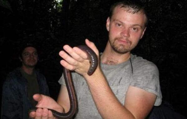 世界上最大的蚯蚓，澳大利亚巨型蚯蚓（长可达3米多）