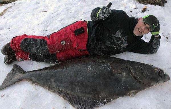 世界上最大的比目鱼，长2.6米重468斤（2013年被捕获）