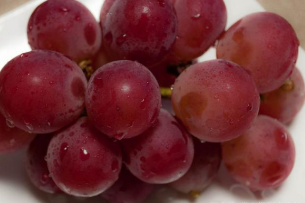 世界上最贵的葡萄:26颗高达7万元(足足有乒乓球大小)