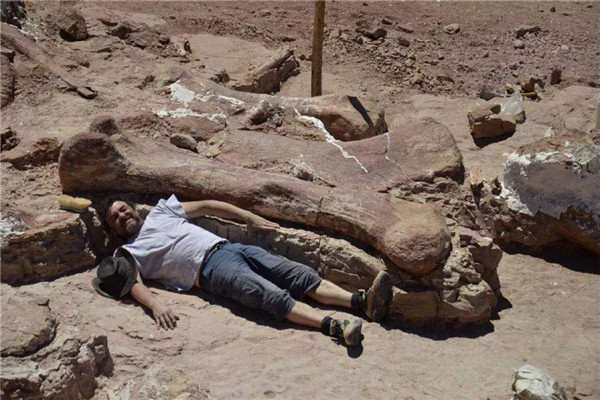 世界上最大的恐龙化石 阿根廷发现（活着时体重77吨）