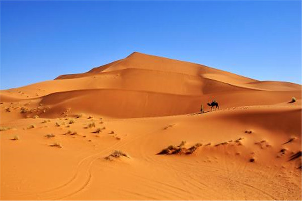 世界最大的沙漠是哪个 撒哈拉沙漠（自带风情相当美丽）