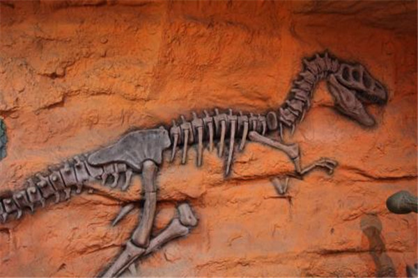 世界上最大的恐龙化石 阿根廷发现（活着时体重77吨）