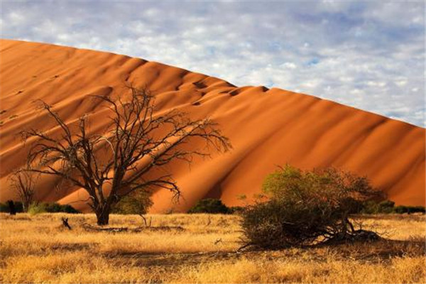 世界上最高的沙丘 苏丝斯黎沙丘（沙丘中的巨人）