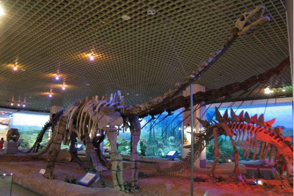中国巨型蜥脚恐龙：东北巨龙 最长20米(发现于辽宁)