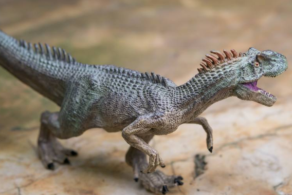 巨型肉食恐龙：矮异特龙 仅出土一根腿骨(推测身高极矮)