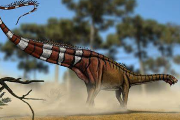 巨型植食恐龙：丁赫罗龙 最长可达22米(诞生于1.5亿年前)