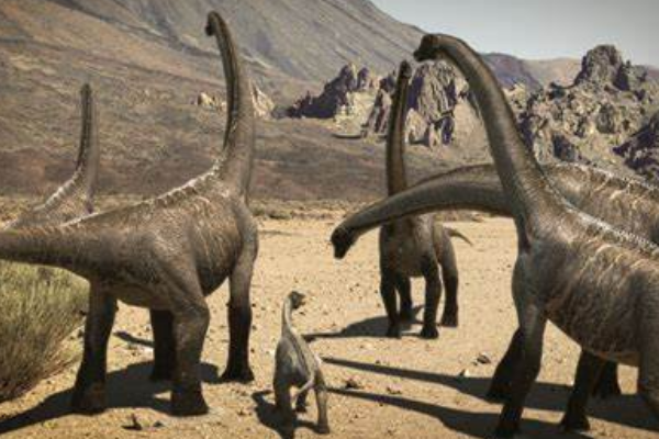 巨型植食恐龙：丁赫罗龙 最长可达22米(诞生于1.5亿年前)