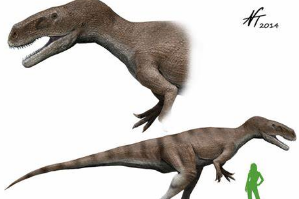 中型兽脚类恐龙：艾德玛龙 体长达11米(攻击力堪比暴龙)