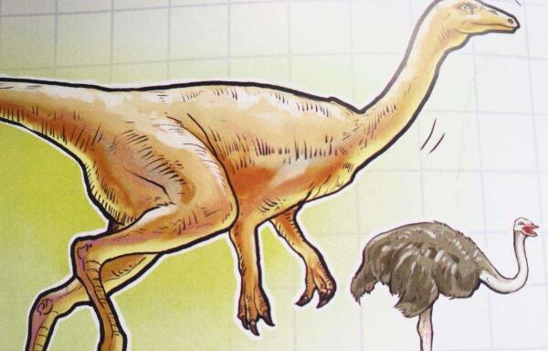 似鸵龙：北美洲小型食草恐龙（4.3米/类似鸵鸟的恐龙）