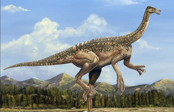 神州龙：中国辽宁小型食草恐龙（长1.5米/1.25亿年前）