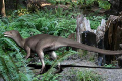 迷你型植食恐龙：棘齿龙 仅0.7米长(不如成年人高)