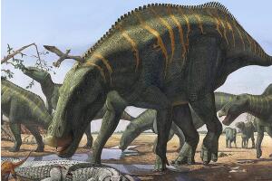 山东龙：中国大型食草恐龙（长15米/距今7300万年前）