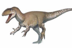 欧洲食肉恐龙：挺足龙 化石失散多年(仅寻回一块颌骨)