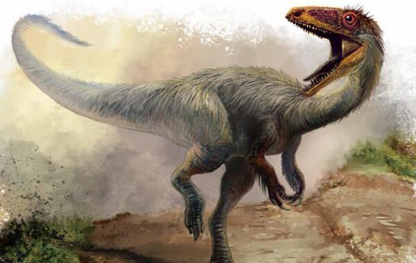 似尾羽龙：中国小型食肉恐龙（长1.8米/距今1.2亿年前）