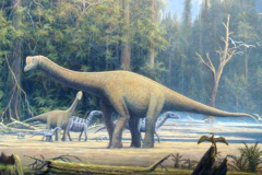 侏儒蜥脚恐龙:欧罗巴龙 长期在岛屿生活(体长仅1.7米)