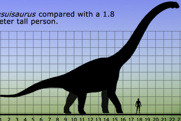 巨型蜥脚类恐龙:扶绥龙 光是髋骨长度就有145厘米