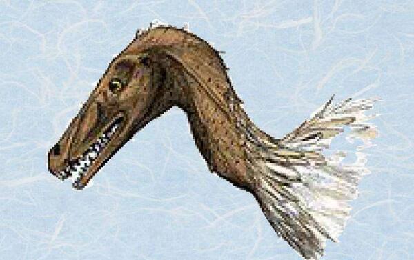 白魔龙：中国小型食肉恐龙（长3米/距今7000万年前）
