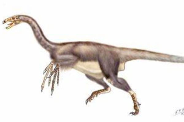 小型杂食恐龙:铸镰龙 羽毛覆盖全身(有着极长第二指爪)