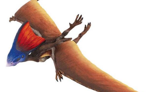 他蓓翼龙：南美洲翼龙类爬行动物（长1米/翼幅长达5米）