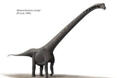 大型恐龙：始马门溪龙 首次在中国云南省发现(身长15米)