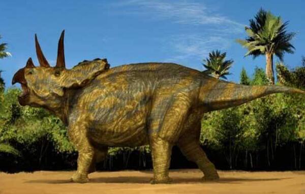 三角龙：北美洲大型恐龙（长8米/最强食草恐龙之一）