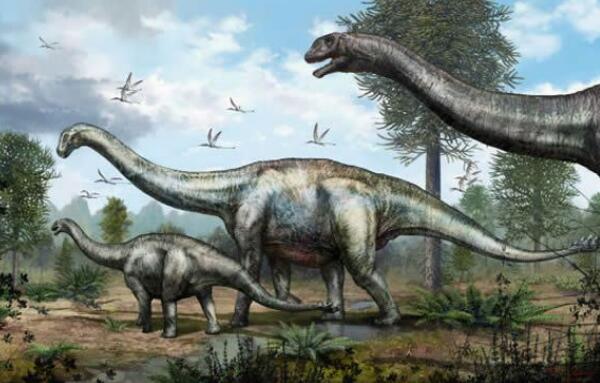 汤达鸠龙：非洲巨型食草恐龙（长20米/距今1.5亿年前）