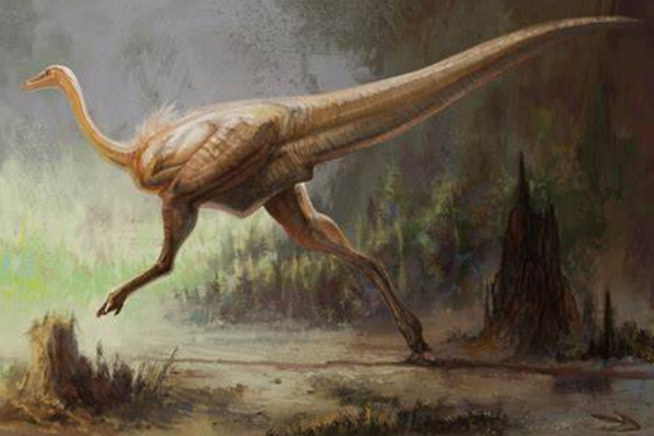 最大的似鸟龙类:似鸡龙 不会飞行但奔跑能力极强