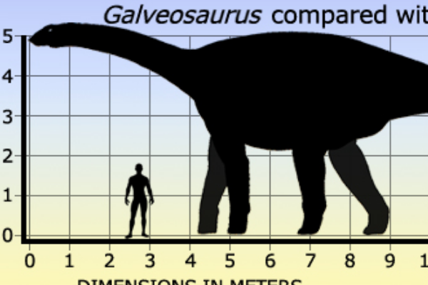 超巨型植食恐龙:加尔瓦龙 体长可达22米(生于侏罗纪)