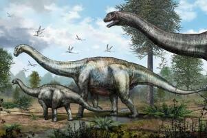 汤达鸠龙：非洲巨型食草恐龙（长20米/距今1.5亿年前）
