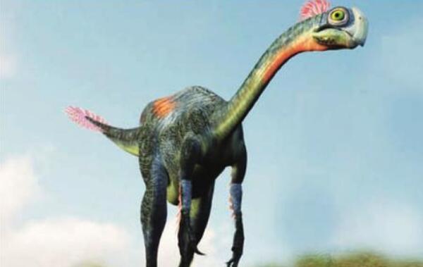 尾羽龙：辽宁小型杂食性恐龙（长1米/距今1.2亿年前）