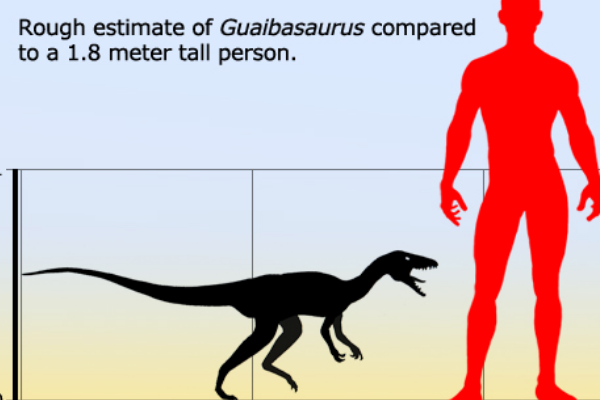 南美小型恐龙:爪巴龙 睡眠姿势酷似现代鸟类(仅1.2米长)