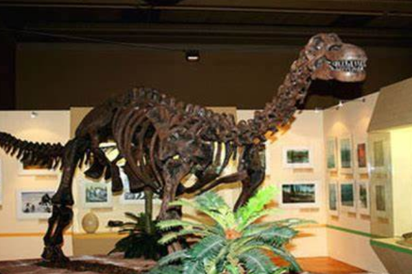 泰坦巨龙类:冈瓦纳巨龙 体长仅7米(尾部脊椎是心形)