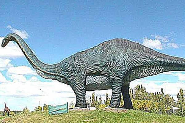 泰坦巨龙类:冈瓦纳巨龙 体长仅7米(尾部脊椎是心形)
